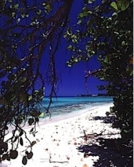Northside Beachfront - Vistas Beyond The Sea