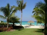 Caribbean Club