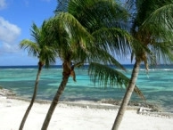 Moon Bay