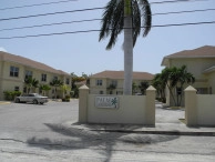 Palm Gardens #3