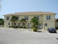 Palm Gardens #3