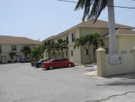 Palm Gardens #3