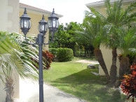 Palm Gardens #3