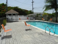 Palm Gardens #3