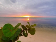 Sun Serenity Rum Point