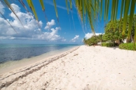 Caribbean Paradise #16