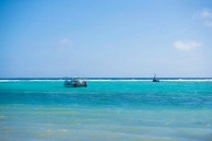 Caribbean Paradise #16