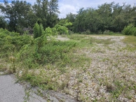 Stepping Stones House Lot