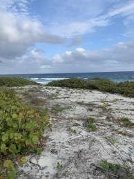 South Side Ocean Front Land
