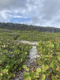 South Side Ocean Front Land