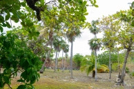 Historic Home - 3 Acres Ocean Front