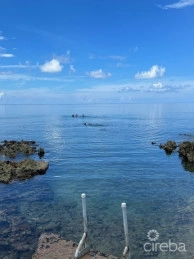 Historic Home - 3 Acres Ocean Front