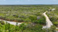 Nature Walk Lot 7
