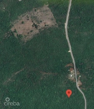 20 Acres Brac Bluff Land