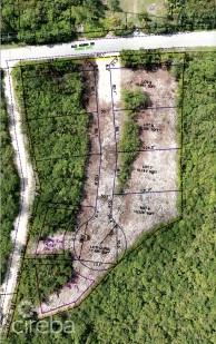 Nature Walk Lot 7