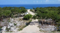 Bluff Land - Cayman Brac East - Lot #8