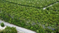 Bluff Land - Cayman Brac East - Lot #8