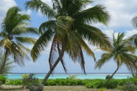 Prime Beachfront Land