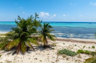 Prime Beachfront Land