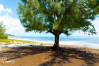 Prime Beachfront Land