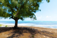 Prime Beachfront Land