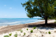 Prime Beachfront Land
