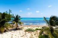 Prime Beachfront Land