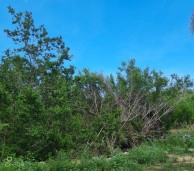 .3 Acre Lot North Side