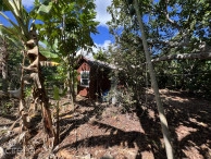 Rare 1-acre Farm Paradise In Up-and-coming High Rock - East End's Hottest Farming Location