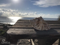 Little Cayman Lot Near Point Of Sands