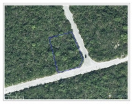 Dolphin  Estate Parcel, Cayman Brac