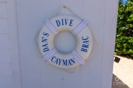 Dan's Dive