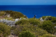 Ocean Front Paradise Villa Cayman Brac