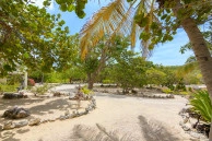 Palm Breezes
