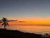 Palm Breezes