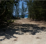 Spotts Oceanfront Development Opportunity