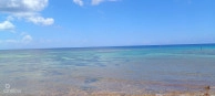 Vida Vistas