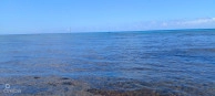 Vida Vistas
