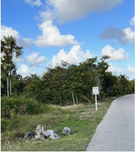 Vida Vistas