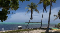 Owen Island View
