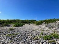 Cayman Brac Northside Beach Front Land