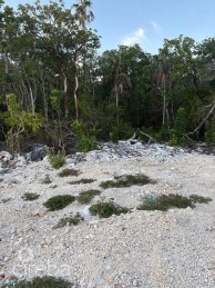 East End Parcel