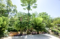 Rock Ridge House