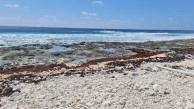 Cayman Brac East Oceanfront 1.25 Acres