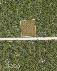 Colliers Homestead 1 Acre