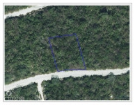 Selworthy Grove 0.28, Cayman Brac Bluff