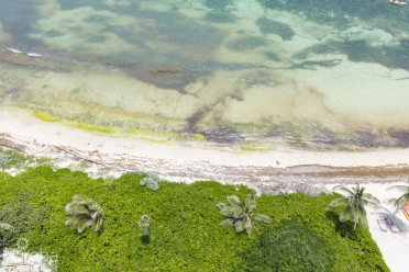 Rum Point Beach Front Lot