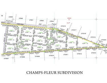 Champs Fleur Subdivision