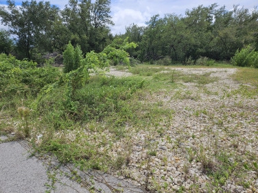 Stepping Stones House Lot