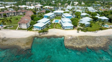 Grapetree  #3
